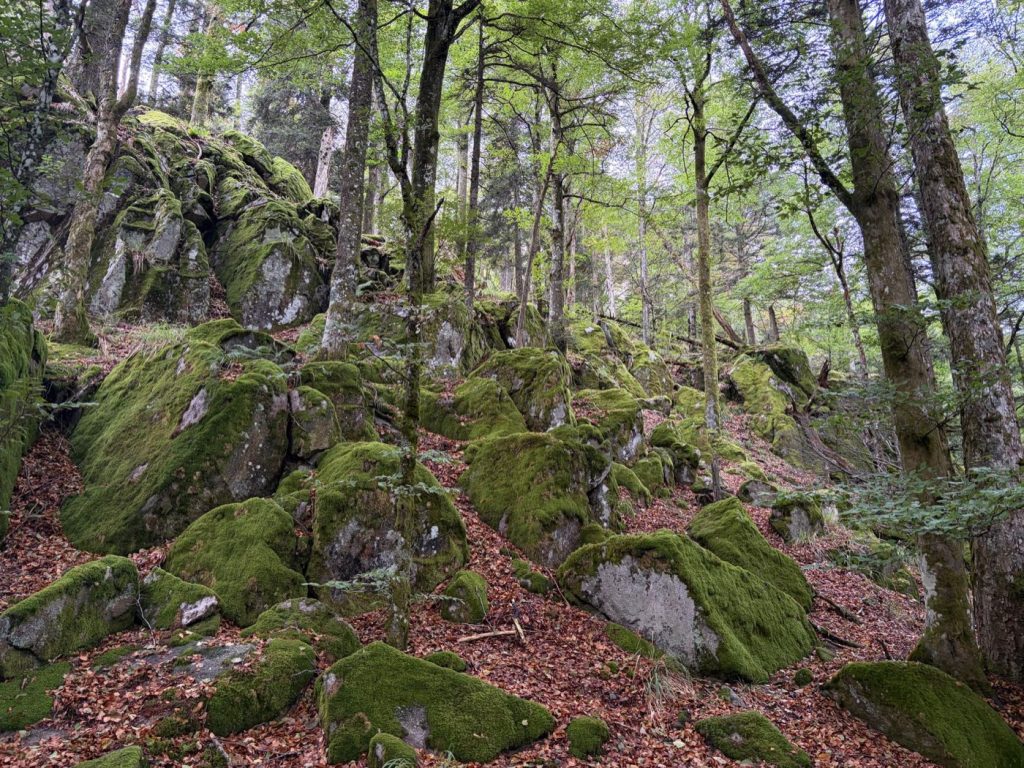Relaxation pour améliorer le sommeil