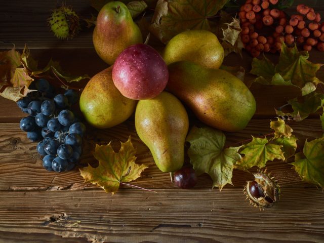 Adapter son alimentation et son hydratation à l’automne